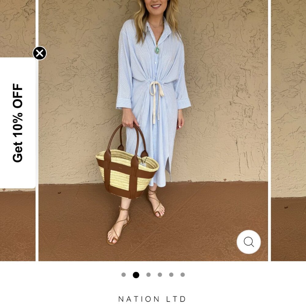 Nation Ltd Irene Striped Blue Shirtdress